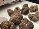 Tartufi in vendita fuori periodo, sequestro e sanzione ad Asti Tartufi in vendita fuori periodo, sequestro e sanzione ad Asti