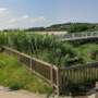 Lavori sul torrente Borbore, gli ambientalisti: "Rendere pubblici studi idraulici ed ambientali" Lavori sul torrente Borbore, gli ambientalisti: "Rendere pubblici studi idraulici ed ambientali"
