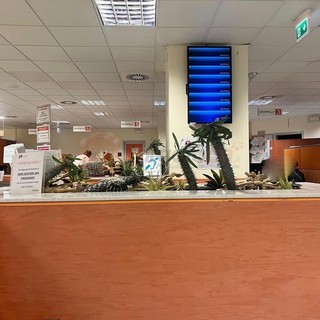 Immagine di repertorio