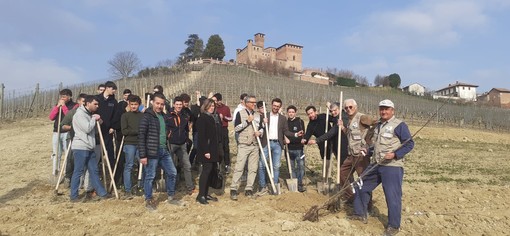 Grinzane Cavour: messa a dimora una nuova tartufaia ai piedi della collina del castello