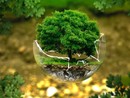 A Farigliano appuntamento con "Cine per la terra - dalla parte del suolo” A Farigliano appuntamento con "Cine per la terra - dalla parte del suolo”