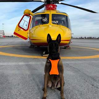 Da oggi sono operative le Unità Cinofile da Valanga del Soccorso Alpino e Speleologico Piemontese nelle basi regionali