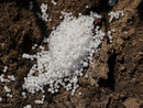 Coldiretti Cuneo: "Bene rinvio divieto urea, ora accelerare sul biodigestato" Coldiretti Cuneo: "Bene rinvio divieto urea, ora accelerare sul biodigestato"