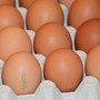 Allarme salmonella nelle uova: richiamato lo stesso lotto di Selex, Despar e Fattorie Natura Coop Allarme salmonella nelle uova: richiamato lo stesso lotto di Selex, Despar e Fattorie Natura Coop