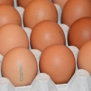Allarme salmonella nelle uova: richiamato lo stesso lotto di Selex, Despar e Fattorie Natura Coop Allarme salmonella nelle uova: richiamato lo stesso lotto di Selex, Despar e Fattorie Natura Coop