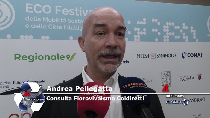 Sostenibilità, Pellegatta (Coldiretti): 'alberi contrastano effetti negativi del cambiamento climatico' Sostenibilità, Pellegatta (Coldiretti): 'alberi contrastano effetti negativi del cambiamento climatico'