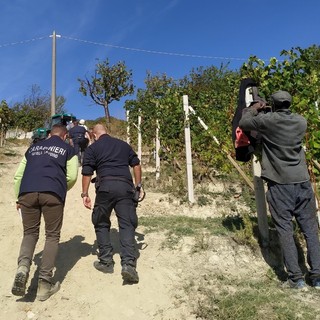 Caporalato nelle Langhe e lavoratori irregolari e in nero: due denunciati