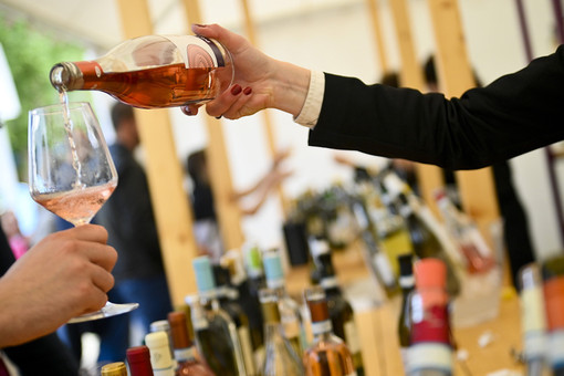 Il Distretto del Cibo del Roero protagonista a Vinum 2026  con cinque giorni dedicati  alle eccellenze del territorio