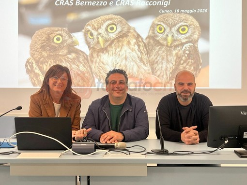 Da sinistra Gabriella Vaschetti, Matteo Attolico e Federico Pellegrino Da sinistra Gabriella Vaschetti, Matteo Attolico e Federico Pellegrino