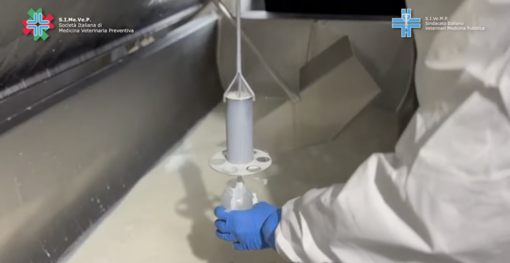 Un video racconta il lavoro dei medici veterinari del Servizio Sanitario Nazionale