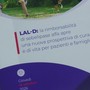 Malattie rare, Aifa approva la rimborsabilità della prima terapia per il deficit di lipasi acida lisosomiale Malattie rare, Aifa approva la rimborsabilità della prima terapia per il deficit di lipasi acida lisosomiale