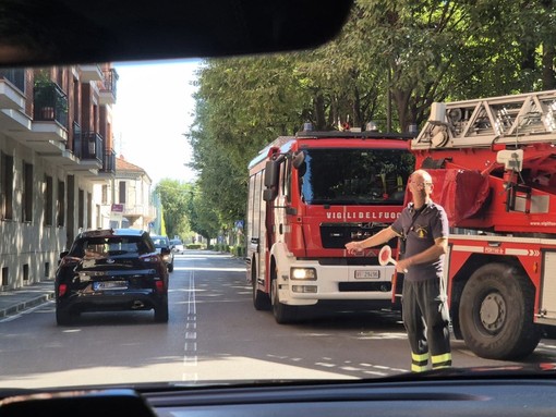 Ramo penzolante in corso Coppino ad Alba: intervento dei vigili del fuoco Ramo penzolante in corso Coppino ad Alba: intervento dei vigili del fuoco