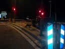 Con la riapertura del tunnel, torneranno tra le macchine in coda anche le volpi del Tenda?