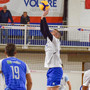 VOLLEY BM / Trasferta proibitiva per il VBC Mondovì in casa del Malnate VOLLEY BM / Trasferta proibitiva per il VBC Mondovì in casa del Malnate