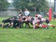 RUGBY / Prima di campionato amara per i cinghiali: Val Tanaro – Stella Rossa 23-43 RUGBY / Prima di campionato amara per i cinghiali: Val Tanaro – Stella Rossa 23-43