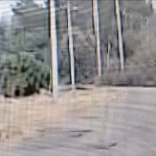 Appicca il fuoco a un deposito nel Leccese, il video del piromane in azione