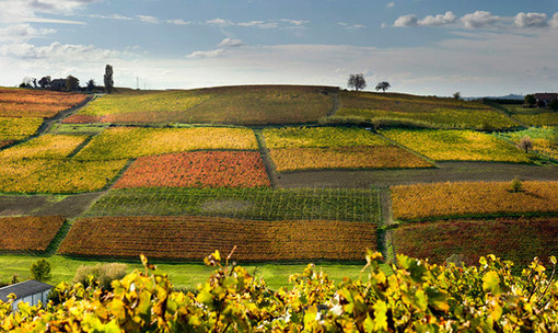 Celebriamo le aziende centenarie: Lavocedialba.it invita i lettori a segnalare le realtà del territorio con un secolo di storia