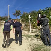 Caporalato nelle Langhe e lavoratori irregolari e in nero: due denunciati