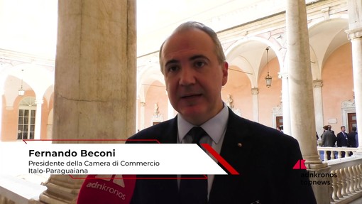 Beconi (Camipy): "Paraguay ricco di opportunità per l'industria italiana"