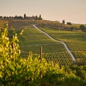 Un fine settimana ricco di eventi nell'Astigiano, tra cultura e territorio