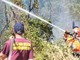 Incendio a Castel Porziano, Canadair in azione a Ostia Incendio a Castel Porziano, Canadair in azione a Ostia