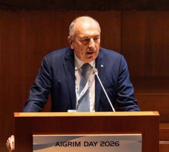 Orlandi (Aigrim-Fipe): "40% forza lavoro è under 30, il problema è trattenerli" Orlandi (Aigrim-Fipe): "40% forza lavoro è under 30, il problema è trattenerli"