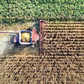 Hendron, Wild Bioscience: "Con nuove tecniche genomiche svolta storica per l’agricoltura europea" Hendron, Wild Bioscience: "Con nuove tecniche genomiche svolta storica per l’agricoltura europea"