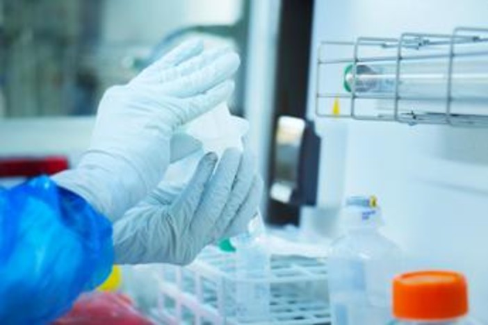 Donna muore di peste polmonare in Siberia, lavorava in laboratorio: in 200 in quarantena Donna muore di peste polmonare in Siberia, lavorava in laboratorio: in 200 in quarantena