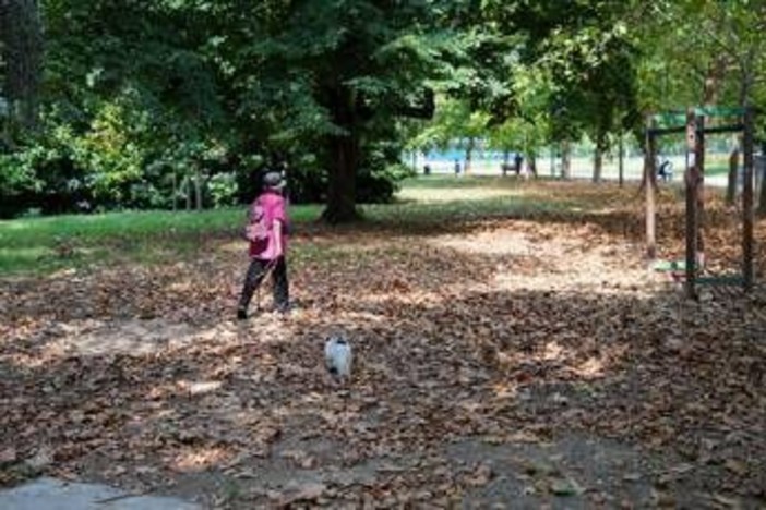 Meteo, torna il sole con l'Anticiclone delle Azzorre ma dura poco: domenica peggiora, le previsioni Meteo, torna il sole con l'Anticiclone delle Azzorre ma dura poco: domenica peggiora, le previsioni