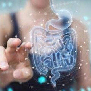 Malattie metaboliche, la svolta arriva dall'intestino: identificato batterio 'protettivo' Malattie metaboliche, la svolta arriva dall'intestino: identificato batterio 'protettivo'