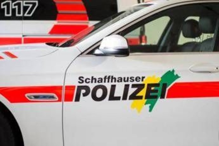 Svizzera, pullman fuori strada: 5 morti e 3 feriti gravi Svizzera, pullman fuori strada: 5 morti e 3 feriti gravi