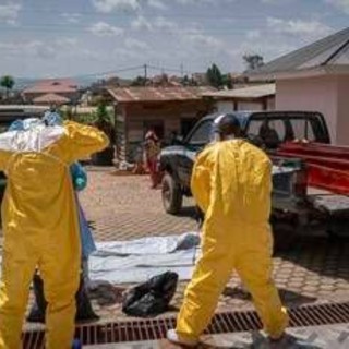 Ebola, identikit del virus Bundibugyo: storia di un nome che fa discutere Ebola, identikit del virus Bundibugyo: storia di un nome che fa discutere