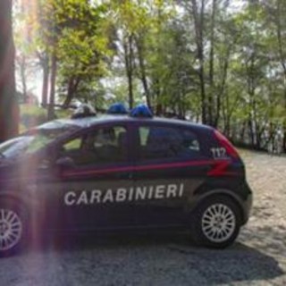 Pavia, cadavere di una ragazza trovato nei campi