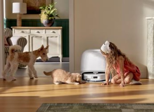 Animali, sondaggio Roborock rivela come cambia l'igiene domestica per i pet parent italiani