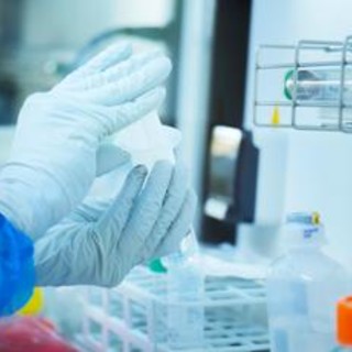 Donna muore di peste polmonare in Siberia, lavorava in laboratorio: in 200 in quarantena Donna muore di peste polmonare in Siberia, lavorava in laboratorio: in 200 in quarantena