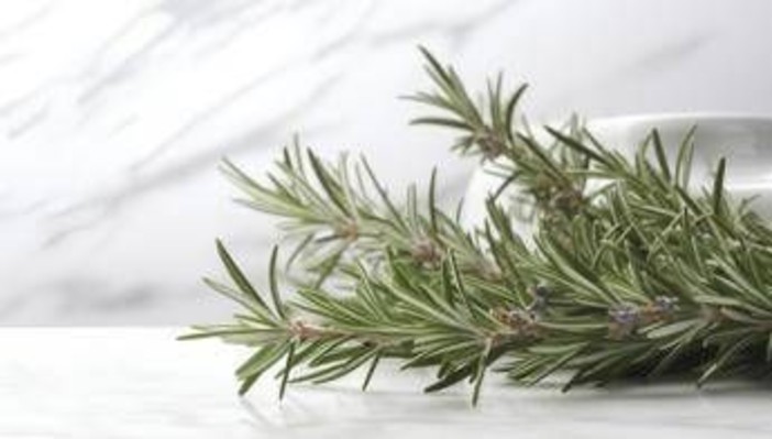 Buccia di limone, basilico e rosmarino: perché farli bollire e le proprietà 'segrete'