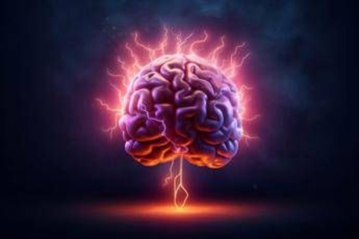 Scoperto nel cervello 'freno' che disattiva il dolore cronico, lo studio Scoperto nel cervello 'freno' che disattiva il dolore cronico, lo studio
