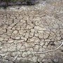 Clima, allarme Onu: "Terra in zona pericolo. El Niño sta assumendo proporzioni enormi" Clima, allarme Onu: "Terra in zona pericolo. El Niño sta assumendo proporzioni enormi"