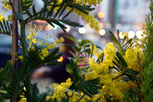 8 marzo, su Tivusat una maratona di musica al femminile da tutto il mondo