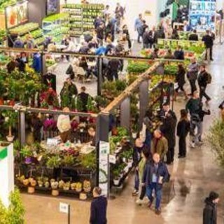 A Milano Rho la vetrina del florovivaismo, in Italia produzioni record a 3,25 miliardi