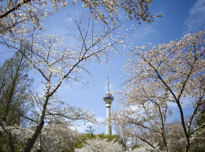 Pechino, quasi eliminate le giornate con livello “grave” di inquinamento