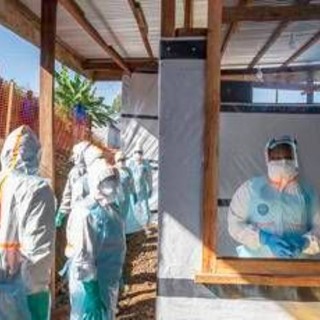 Ebola, Lopalco: "Bene che scatti allarme, con sorveglianza da noi rischio resta basso"