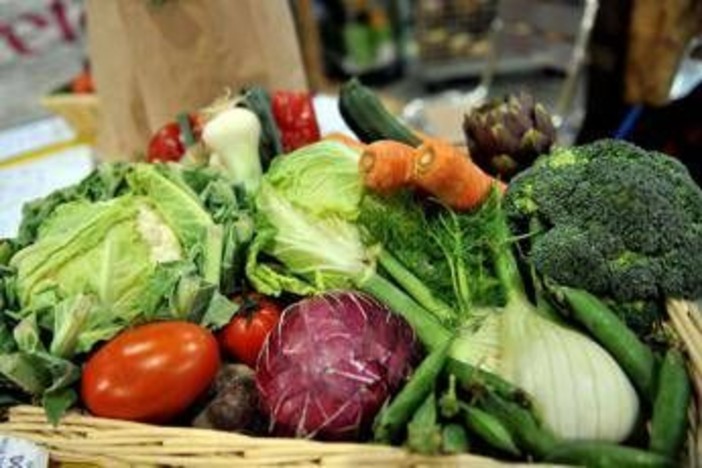 Microbioma alleato contro il mieloma: "Dieta ricca di fibre può frenarlo" Microbioma alleato contro il mieloma: "Dieta ricca di fibre può frenarlo"