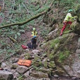 Tenta di salvare 13enne precipitato in una scarpata nel Bosco del Corniglio: morto capo scout Tenta di salvare 13enne precipitato in una scarpata nel Bosco del Corniglio: morto capo scout