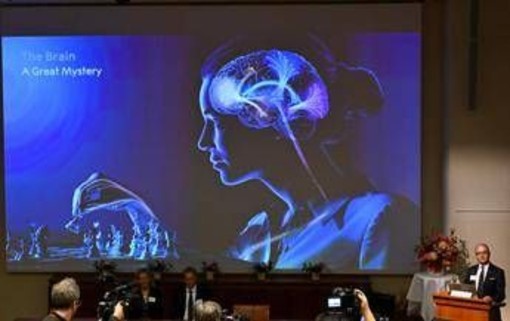 Un’alga e una luce blu: così è nata la scoperta che ha vinto il Nobel per la Medicina 2026 Un’alga e una luce blu: così è nata la scoperta che ha vinto il Nobel per la Medicina 2026