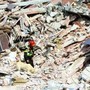 Piantedosi: "Il 6 aprile di 17 anni fa il terremoto dell'Aquila, ferita resta aperta"
