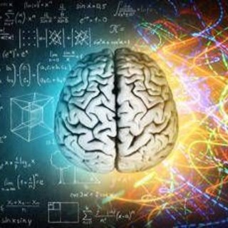 Milano, BrainSpace house per scoprire legame tra benessere di mente e cervello Milano, BrainSpace house per scoprire legame tra benessere di mente e cervello