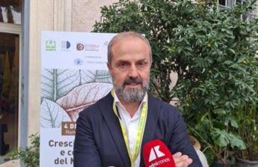 Tabacco, Masiello (Unitab Europa): "Filiera italiana modello vincente da tutelare" Tabacco, Masiello (Unitab Europa): "Filiera italiana modello vincente da tutelare"
