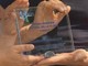 Festival TV di Dogliani, Coripet ha consegnato a Domenico Iannacone il premio Ambiente Festival TV di Dogliani, Coripet ha consegnato a Domenico Iannacone il premio Ambiente