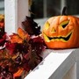 Zucca e semi di zucca: il lato sorprendente (e sano) di Halloween